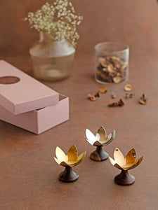 Lotus Blossoms _ Gift Box